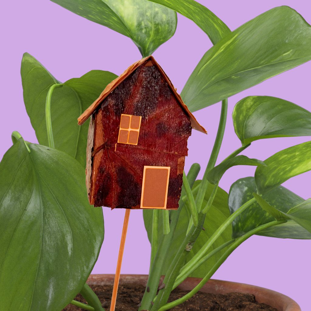 Maison DIY d'automne