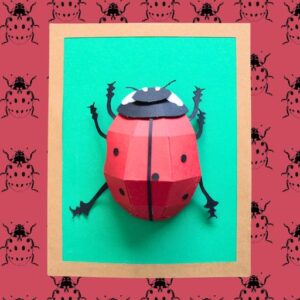 Le scarabée - Kit créatif pour enfant - Bulles imaginaires