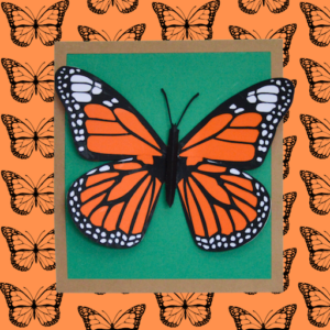 Tuto pour réaliser le kit créatif pour enfant du papillon