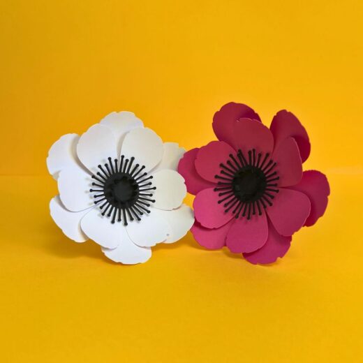 Anémones en papier à planter dans le soliflore