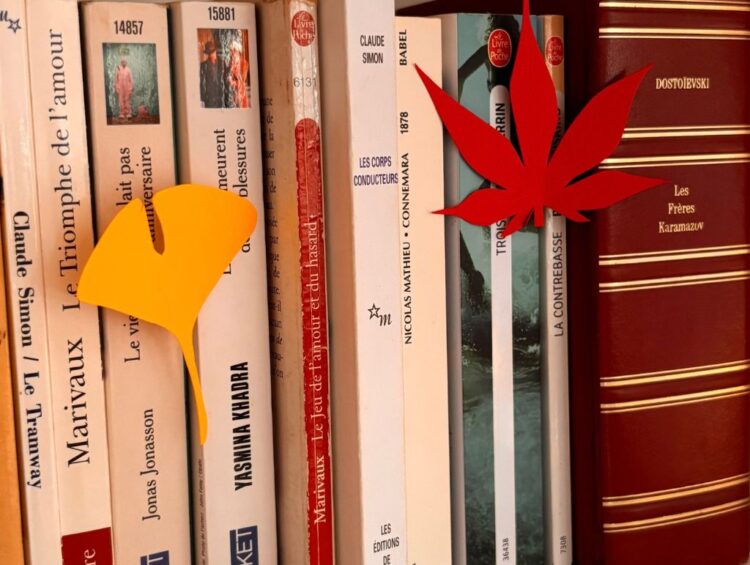 Décoration d'une bibliothèque avec des feuilles d'automne en papier